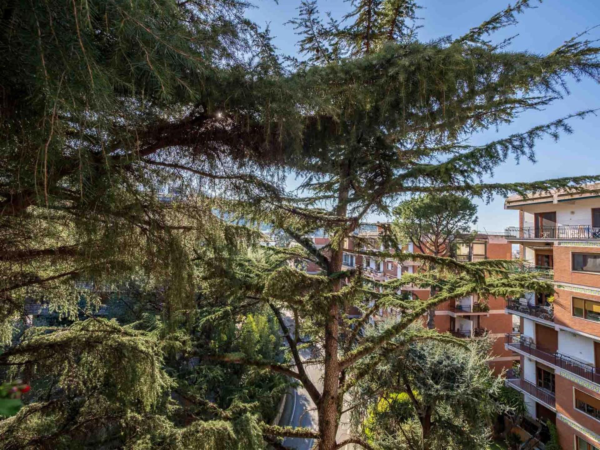 Appartamento Pine House Sorrento Esterno foto